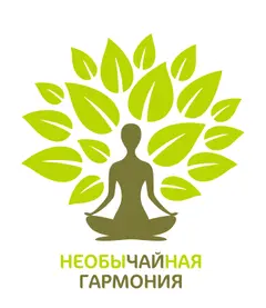 ИНДИВИДУАЛЬНЫЙ ПРЕДПРИНИМАТЕЛЬ ТРУБНИКОВА ОЛЬГА НИКОЛАЕВНА